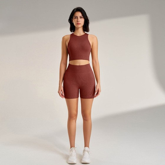 Seamless fitness activewear set tank top + Shorts 5041-5042