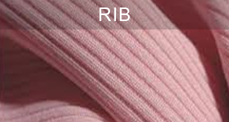 RIB